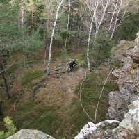 Výr z leva.